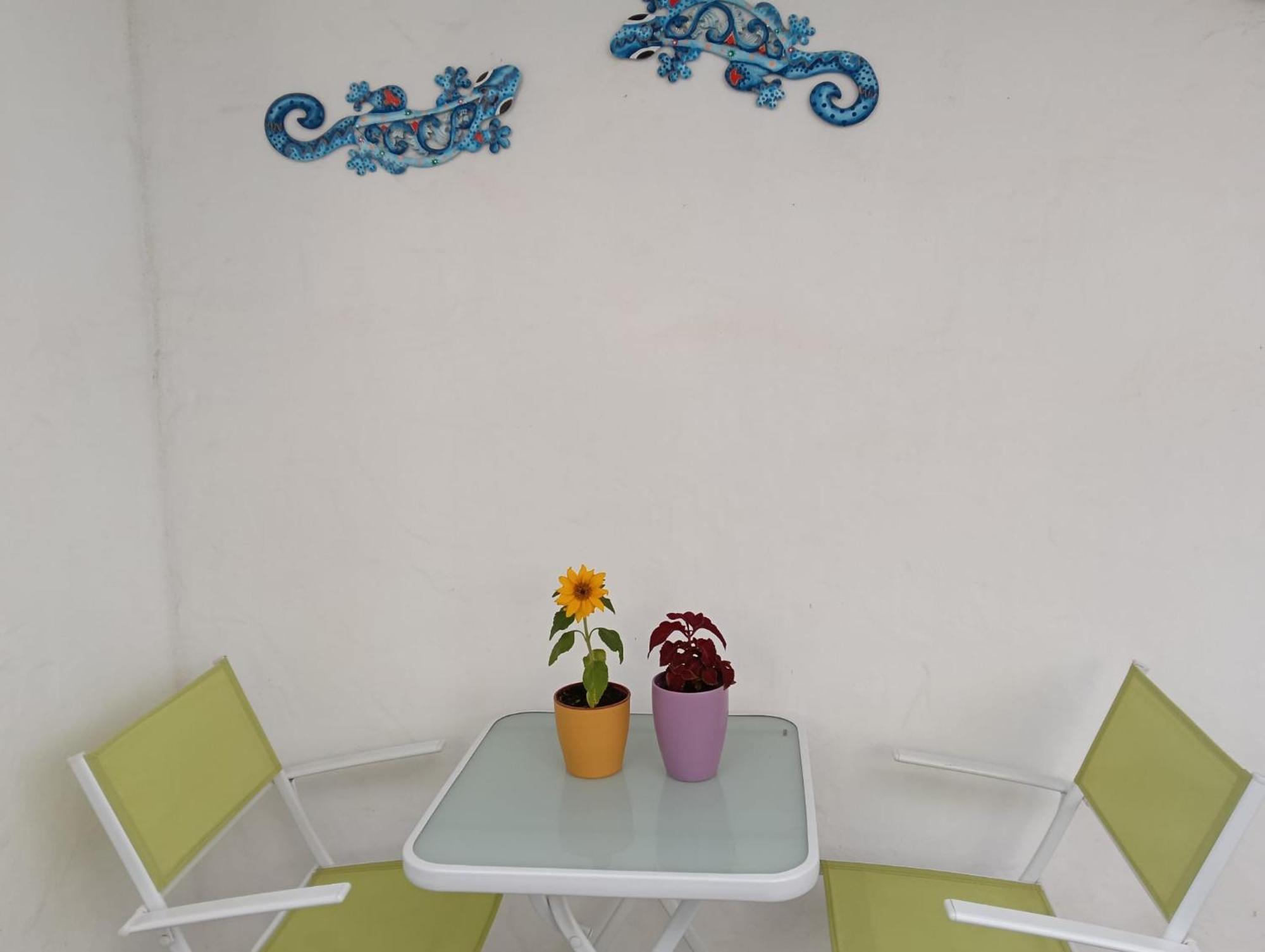 Appartamento Las Palmas Тарахалехо Екстериор снимка